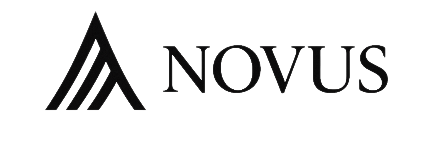 Logo Simulator Portofoliu